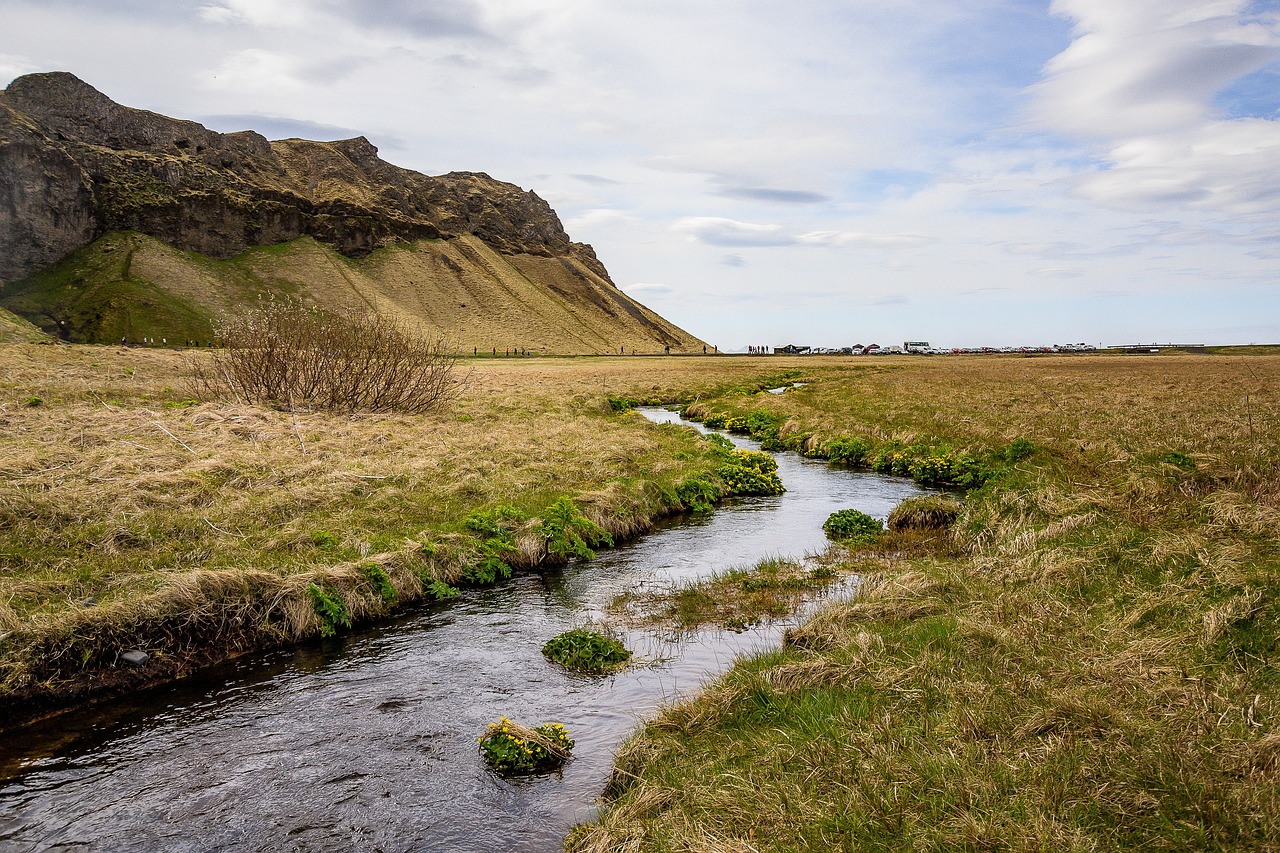 Threats to Biodiversity in the Arctic Tundra